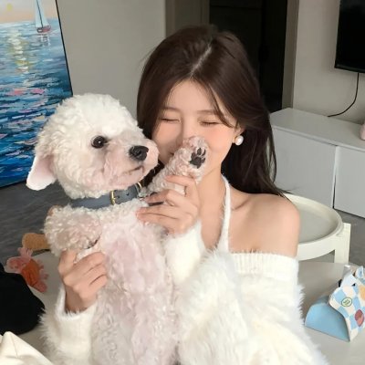 谎话连篇 封面
