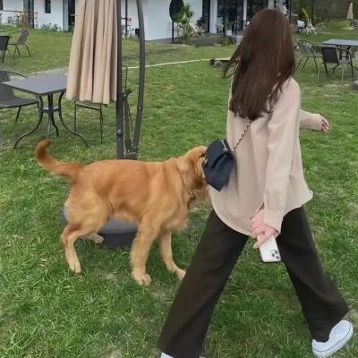 贫民百万总统 封面